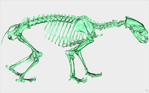 3D Design Stories | Walking The Dead with 3D Imaging